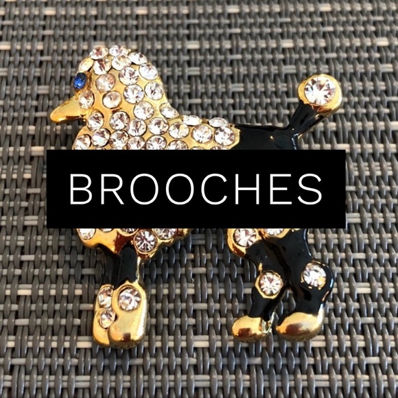 ๐๐๐ Brooches ๐๐๐ - Picture 1 of 1